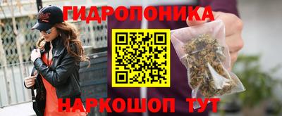 МДПВ Пушкино