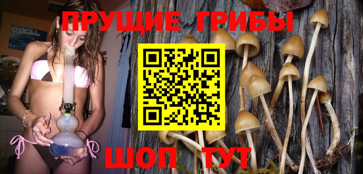 Галлюциногенные грибы Psilocybe  Галлюциногенные грибы ЛСД  Советск  где можно купить   Вход с VPN 